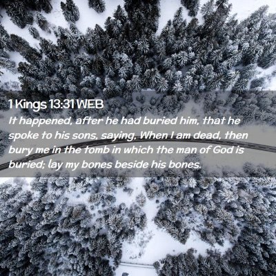 Picture 02 - 1 Kings 13:31 WEB - It happened, after he had buried him, that he - Bible Verse Picture