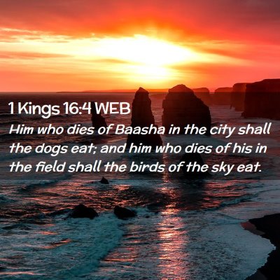 Picture 02 - 1 Kings 16:4 WEB - Him who dies of Baasha in the city shall the dogs - Bible Verse Picture