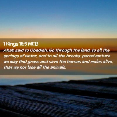 Picture 02 - 1 Kings 18:5 WEB - Ahab said to Obadiah, Go through the land, to all - Bible Verse Picture