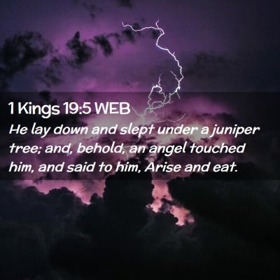 Picture 02 - 1 Kings 19:5 WEB - He lay down and slept under a juniper tree; and, - Bible Verse Picture