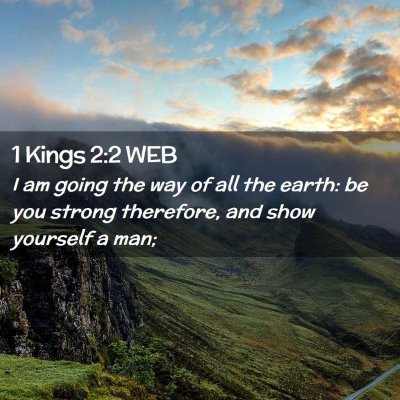 Picture 02 - 1 Kings 2:2 WEB - I am going the way of all the earth: be you - Bible Verse Picture