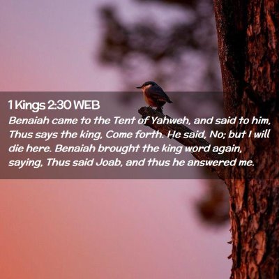 Picture 02 - 1 Kings 2:30 WEB - Benaiah came to the Tent of Yahweh, and said to - Bible Verse Picture