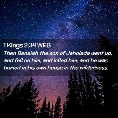 Picture 02 - 1 Kings 2:34 WEB - Then Benaiah the son of Jehoiada went up, and - Bible Verse Picture