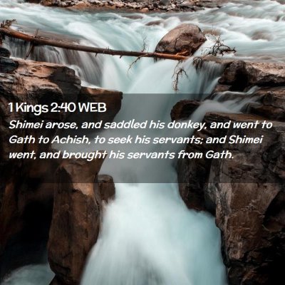 Picture 02 - 1 Kings 2:40 WEB - Shimei arose, and saddled his donkey, and went to - Bible Verse Picture