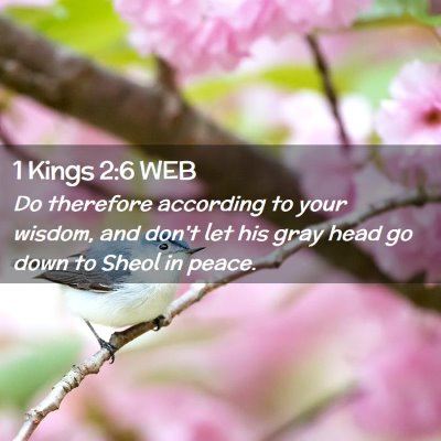 Picture 02 - 1 Kings 2:6 WEB - Do therefore according to your wisdom, and don't - Bible Verse Picture