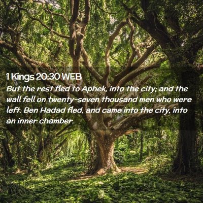 Picture 02 - 1 Kings 20:30 WEB - But the rest fled to Aphek, into the city; and - Bible Verse Picture