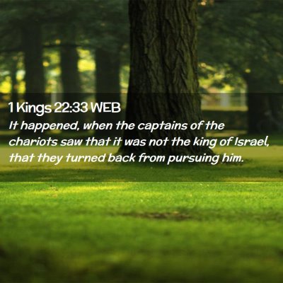 Picture 02 - 1 Kings 22:33 WEB - It happened, when the captains of the chariots - Bible Verse Picture