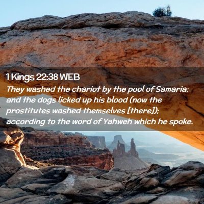 Picture 02 - 1 Kings 22:38 WEB - They washed the chariot by the pool of Samaria; - Bible Verse Picture