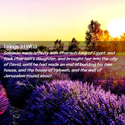 Picture 02 - 1 Kings 3:1 WEB - Solomon made affinity with Pharaoh king of Egypt, - Bible Verse Picture