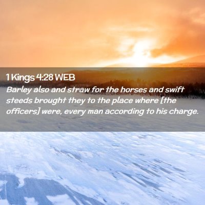 Picture 02 - 1 Kings 4:28 WEB - Barley also and straw for the horses and swift - Bible Verse Picture