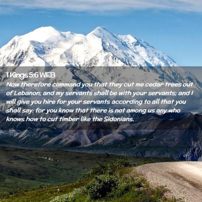 Picture 02 - 1 Kings 5:6 WEB - Now therefore command you that they cut me cedar - Bible Verse Picture