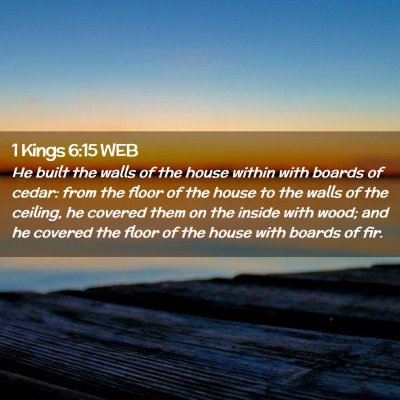 Picture 02 - 1 Kings 6:15 WEB - He built the walls of the house within with - Bible Verse Picture