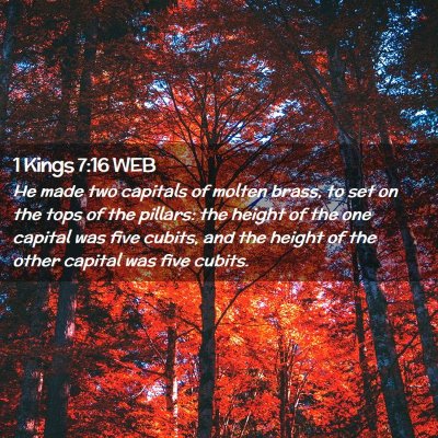 Picture 02 - 1 Kings 7:16 WEB - He made two capitals of molten brass, to set on - Bible Verse Picture