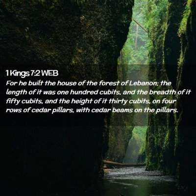 Picture 02 - 1 Kings 7:2 WEB - For he built the house of the forest of Lebanon; - Bible Verse Picture