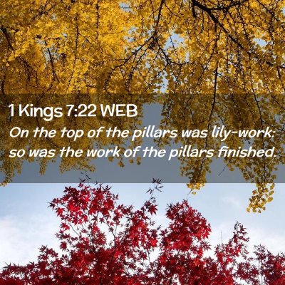 Picture 02 - 1 Kings 7:22 WEB - On the top of the pillars was lily-work: so was - Bible Verse Picture