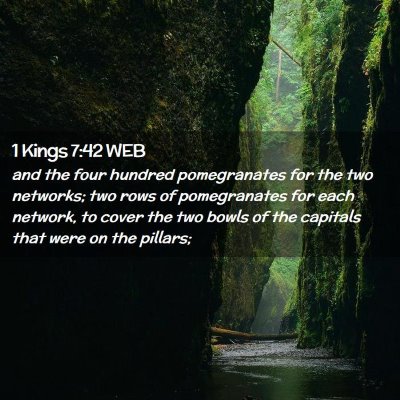 Picture 02 - 1 Kings 7:42 WEB - and the four hundred pomegranates for the two - Bible Verse Picture