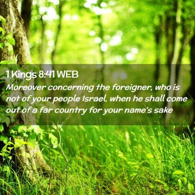 Picture 02 - 1 Kings 8:41 WEB - Moreover concerning the foreigner, who is not of - Bible Verse Picture