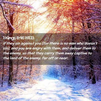 Picture 02 - 1 Kings 8:46 WEB - If they sin against you (for there is no man who - Bible Verse Picture
