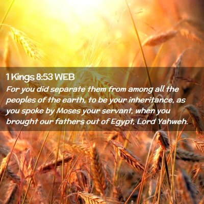 Picture 02 - 1 Kings 8:53 WEB - For you did separate them from among all the - Bible Verse Picture