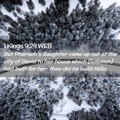 Picture 02 - 1 Kings 9:24 WEB - But Pharaoh's daughter came up out of the city of - Bible Verse Picture