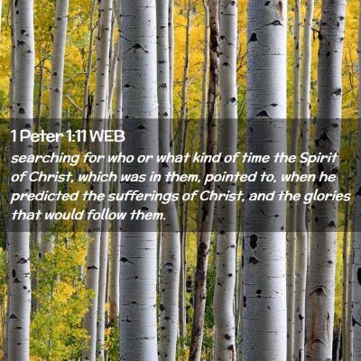 Picture 02 - 1 Peter 1:11 WEB - searching for who or what kind of time the Spirit - Bible Verse Picture