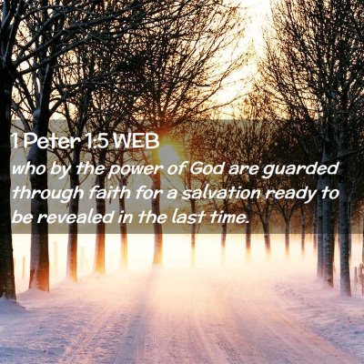 Picture 02 - 1 Peter 1:5 WEB - who by the power of God are guarded through faith - Bible Verse Picture