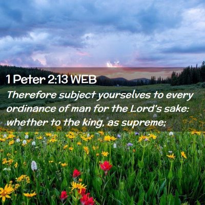Picture 02 - 1 Peter 2:13 WEB - Therefore subject yourselves to every ordinance - Bible Verse Picture