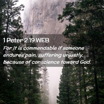 Picture 02 - 1 Peter 2:19 WEB - For it is commendable if someone endures pain, - Bible Verse Picture