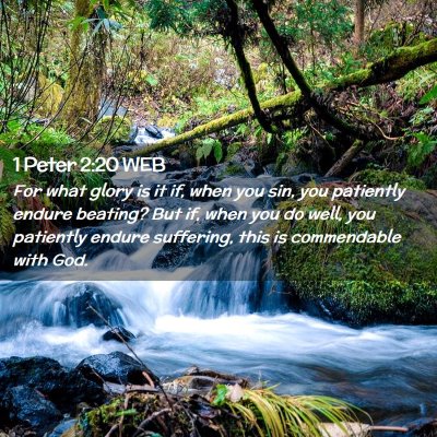 Picture 02 - 1 Peter 2:20 WEB - For what glory is it if, when you sin, you - Bible Verse Picture