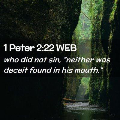 Picture 02 - 1 Peter 2:22 WEB - who did not sin, 