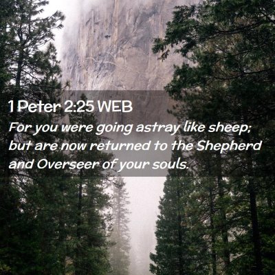 Picture 02 - 1 Peter 2:25 WEB - For you were going astray like sheep; but are now - Bible Verse Picture