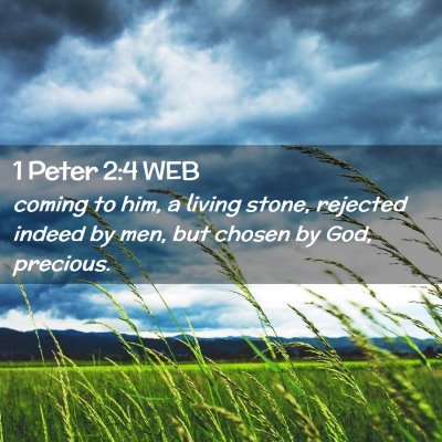 Picture 02 - 1 Peter 2:4 WEB - coming to him, a living stone, rejected indeed by - Bible Verse Picture