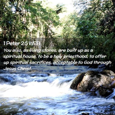 Picture 02 - 1 Peter 2:5 WEB - You also, as living stones, are built up as a - Bible Verse Picture