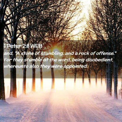 Picture 02 - 1 Peter 2:8 WEB - and, 