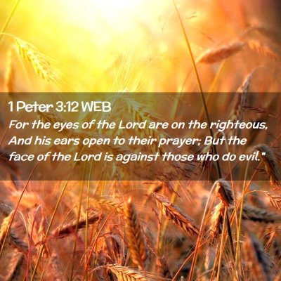 Picture 02 - 1 Peter 3:12 WEB - For the eyes of the Lord are on the righteous, - Bible Verse Picture
