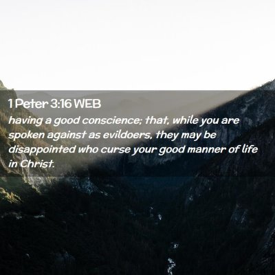Picture 02 - 1 Peter 3:16 WEB - having a good conscience; that, while you are - Bible Verse Picture