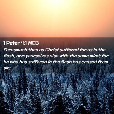 Picture 02 - 1 Peter 4:1 WEB - Forasmuch then as Christ suffered for us in the - Bible Verse Picture