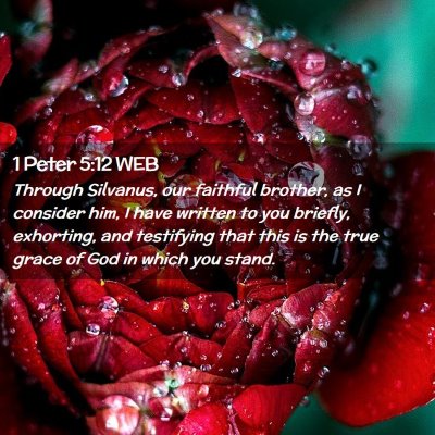 Picture 02 - 1 Peter 5:12 WEB - Through Silvanus, our faithful brother, as I - Bible Verse Picture
