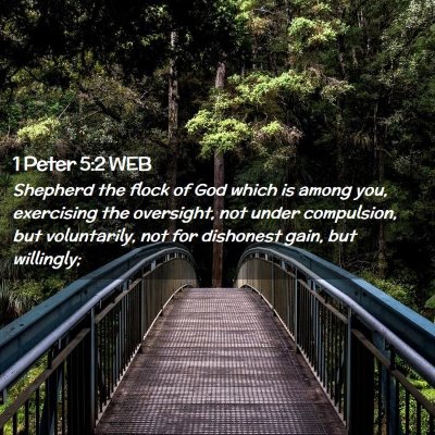 Picture 02 - 1 Peter 5:2 WEB - Shepherd the flock of God which is among you, - Bible Verse Picture