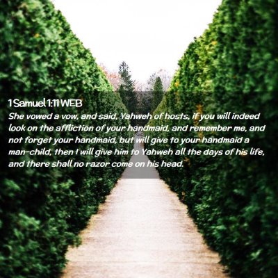 Picture 02 - 1 Samuel 1:11 WEB - She vowed a vow, and said, Yahweh of hosts, if - Bible Verse Picture