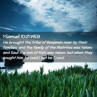 Picture 02 - 1 Samuel 10:21 WEB - He brought the tribe of Benjamin near by their - Bible Verse Picture