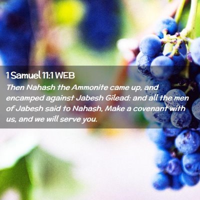 Picture 02 - 1 Samuel 11:1 WEB - Then Nahash the Ammonite came up, and encamped - Bible Verse Picture