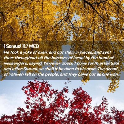 Picture 02 - 1 Samuel 11:7 WEB - He took a yoke of oxen, and cut them in pieces, - Bible Verse Picture