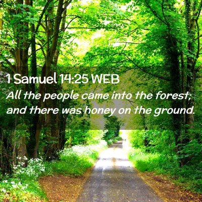 Picture 02 - 1 Samuel 14:25 WEB - All the people came into the forest; and there - Bible Verse Picture