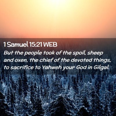 Picture 02 - 1 Samuel 15:21 WEB - But the people took of the spoil, sheep and oxen, - Bible Verse Picture