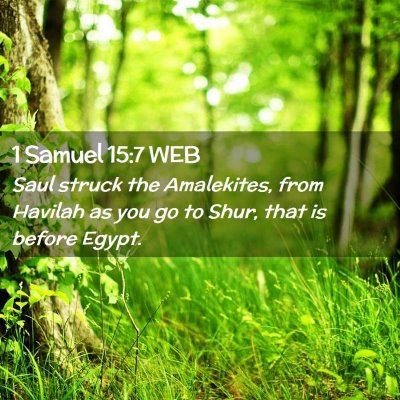 Picture 02 - 1 Samuel 15:7 WEB - Saul struck the Amalekites, from Havilah as you - Bible Verse Picture