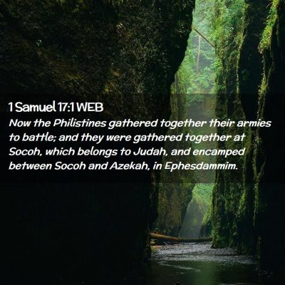 Picture 02 - 1 Samuel 17:1 WEB - Now the Philistines gathered together their - Bible Verse Picture