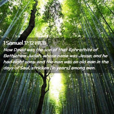 Picture 02 - 1 Samuel 17:12 WEB - Now David was the son of that Ephrathite of - Bible Verse Picture