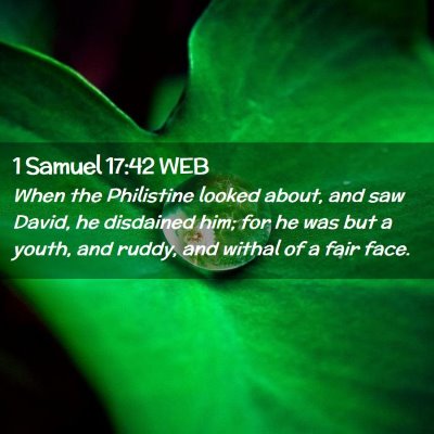 Picture 02 - 1 Samuel 17:42 WEB - When the Philistine looked about, and saw David, - Bible Verse Picture