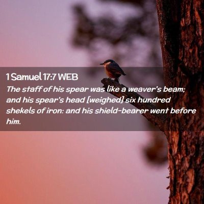Picture 02 - 1 Samuel 17:7 WEB - The staff of his spear was like a weaver's beam; - Bible Verse Picture